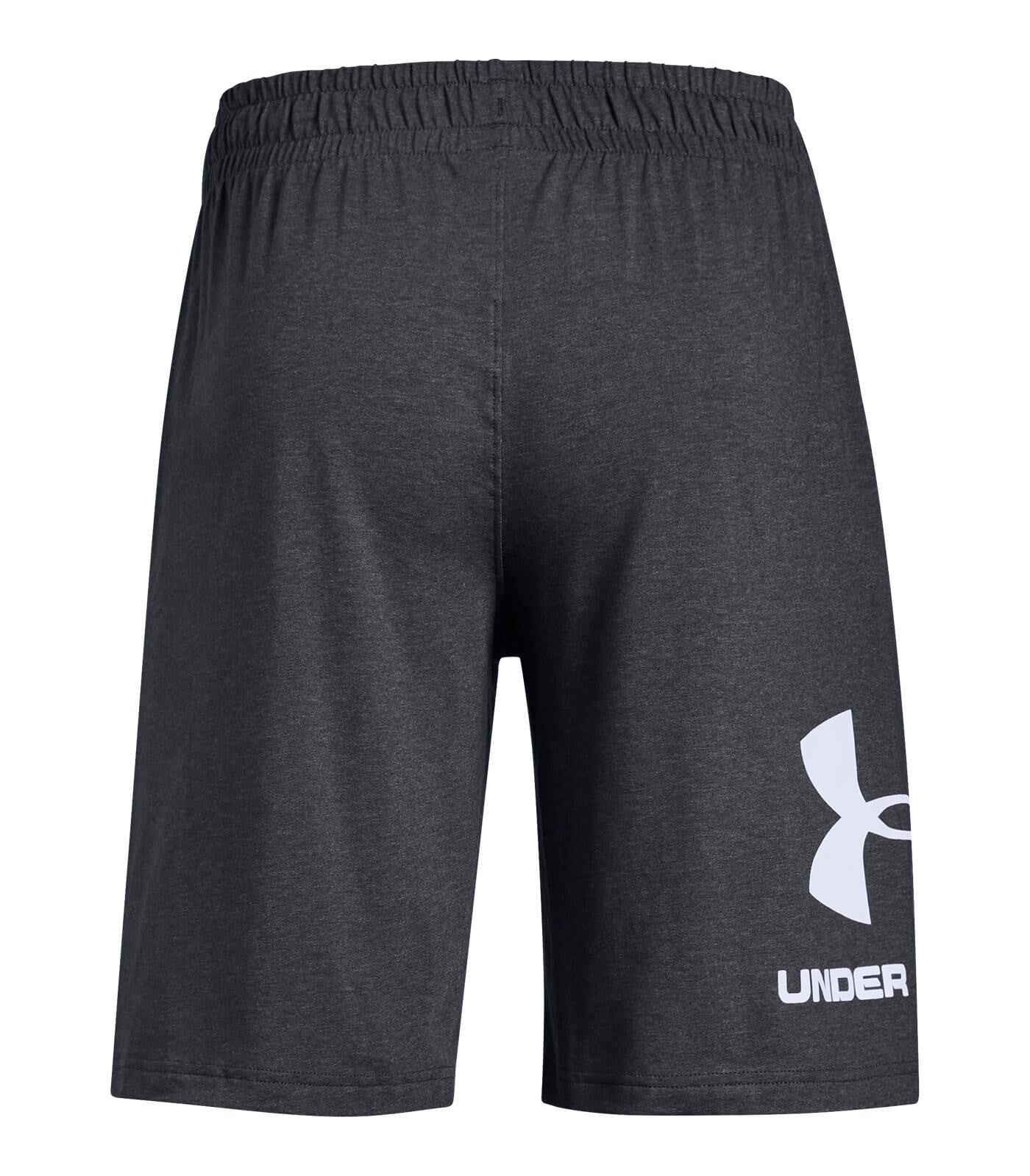 Under Armour Sportstyle Cotton Graphic Short Gry