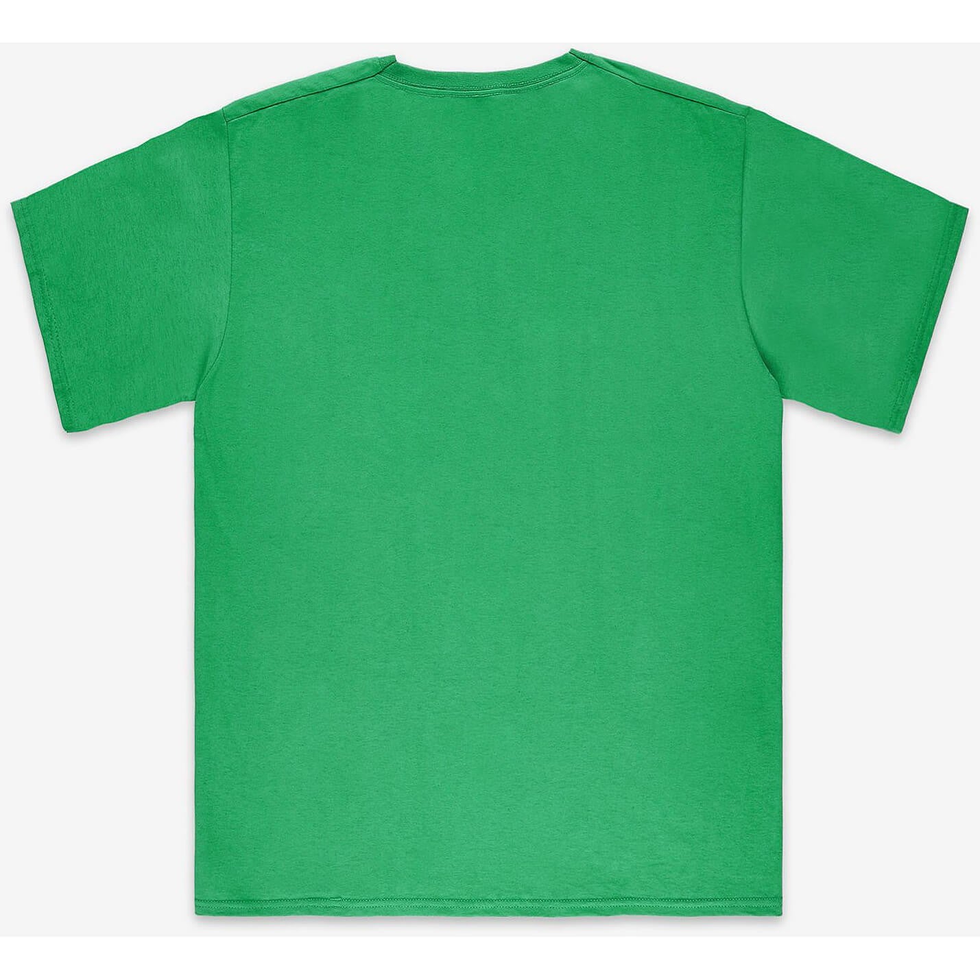 Mitchell & Ness NBA Worn Logo / Wordmark Tee BOSTON CELTICS GREEN