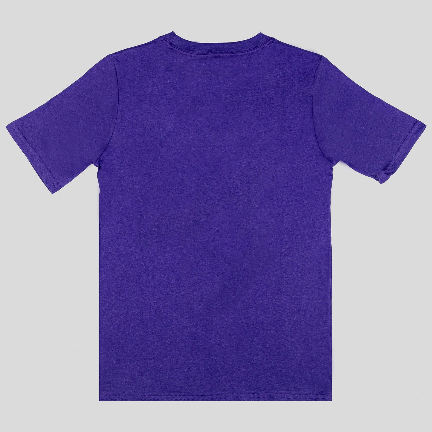 OUTER STUFF COURT VS TRACK CTN TEE CHARLOTTE HORNETS PURPLE