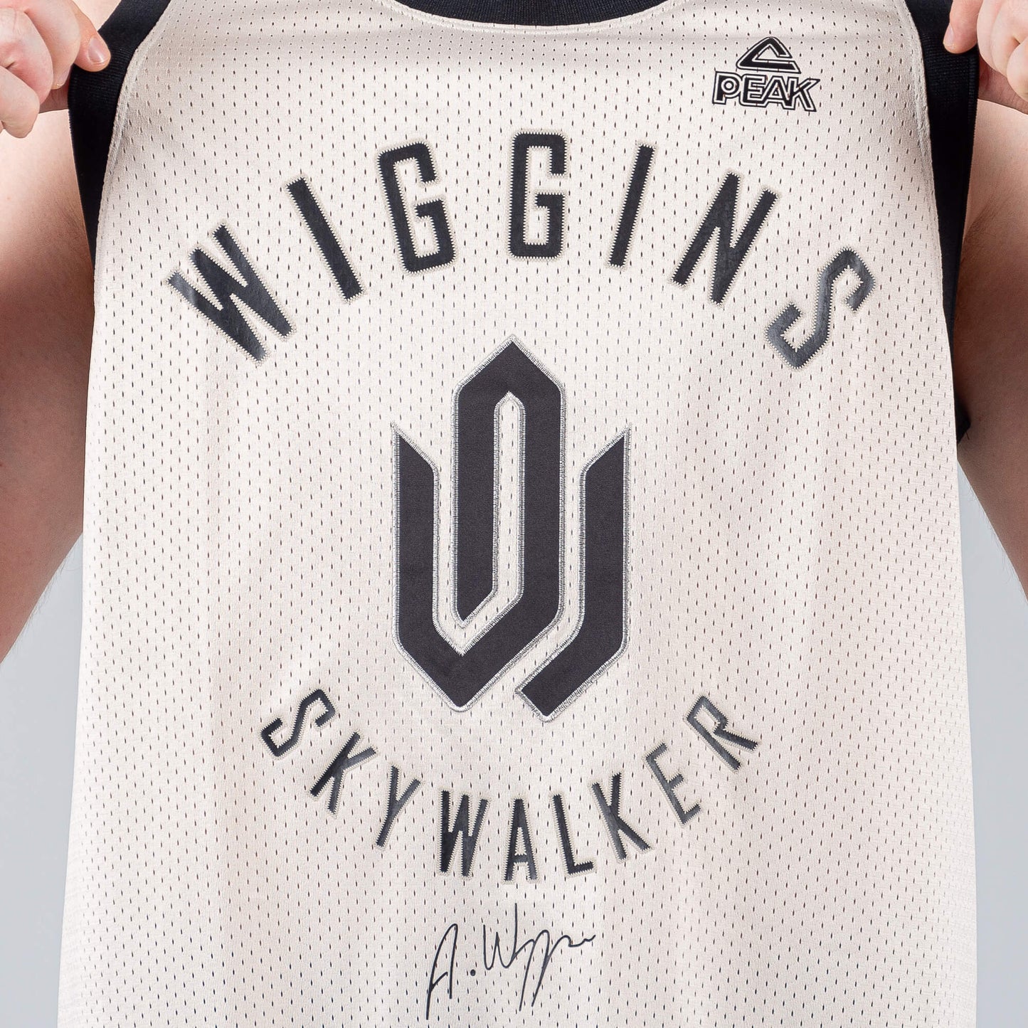 Basketbalový dres Peak Wiggins Skywalker WHITE GREY