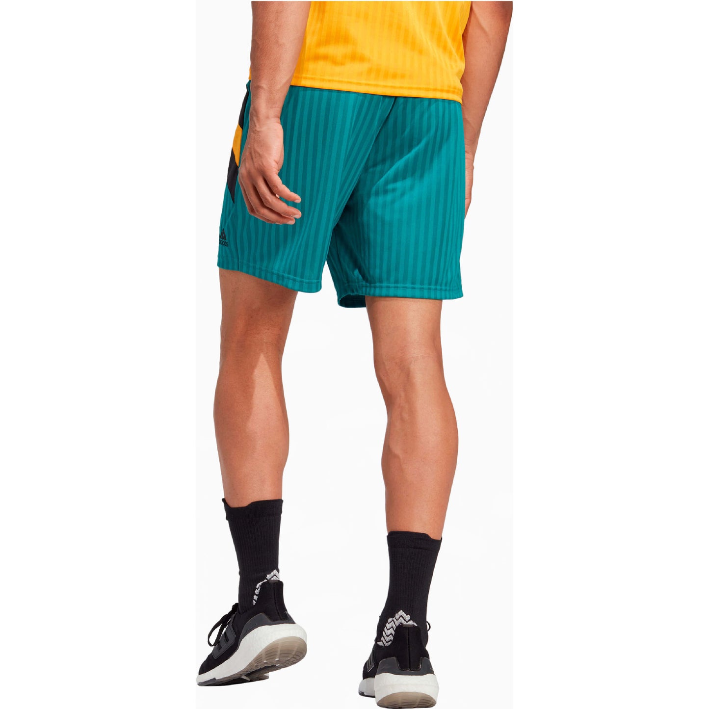 Adidas Men Fc Bayern Icon Shorts Eqt Green