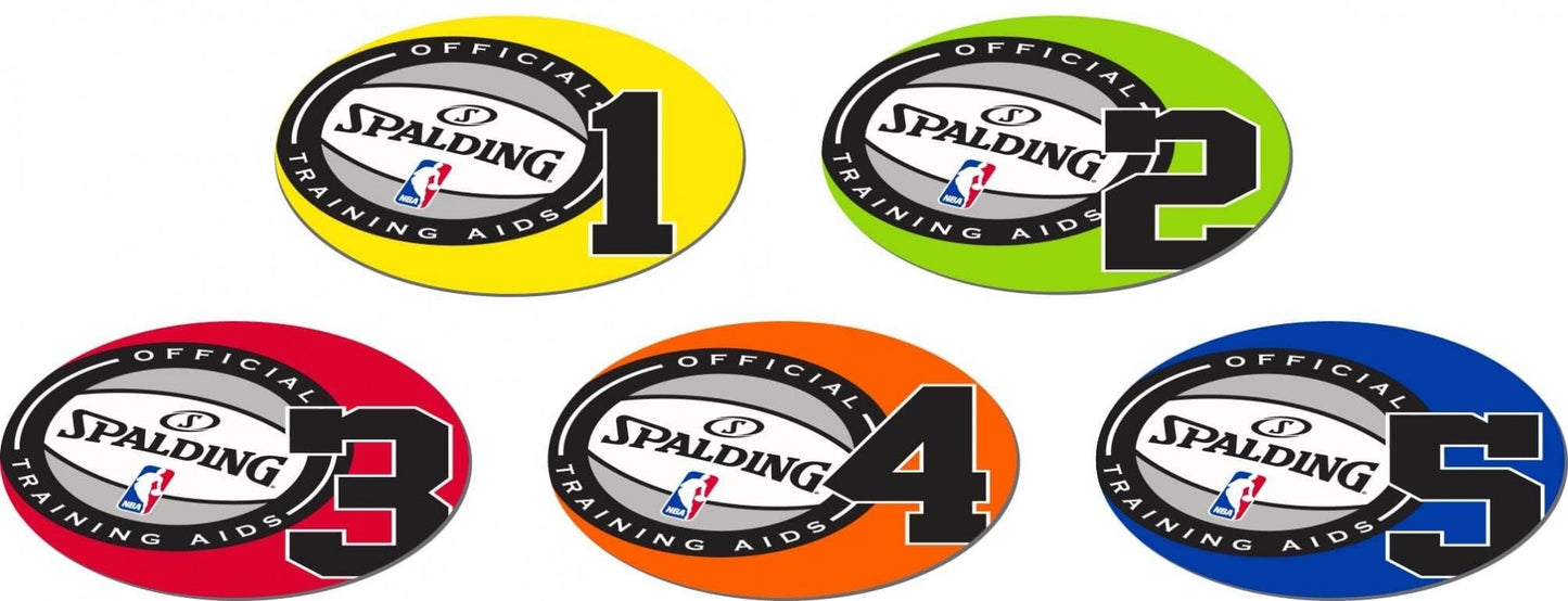 Spalding Shooting Spots Multicolor