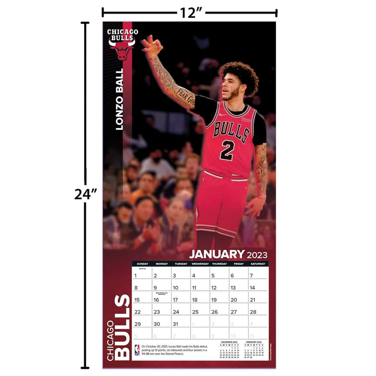 Chicago Bulls - NBA - 2023 (30x60 cm) Team Wall Calendar