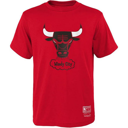 Mitchell & Ness NBA RETRO LOGO TEE - 8-20 (PRE DETI 8-20 ROKOV) CHICAGO BULLS RED