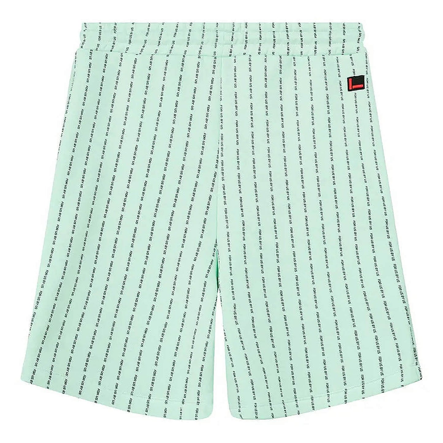 FUBU Corporate Fubu Pinstripe Basketballshorts mint/black