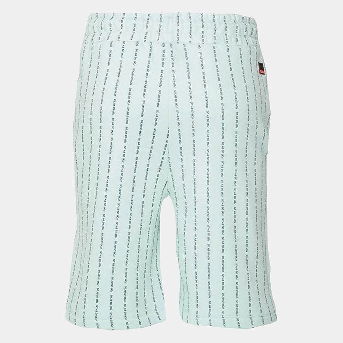 FUBU Corporate Fubu Pinstripe Basketballshorts mint/black