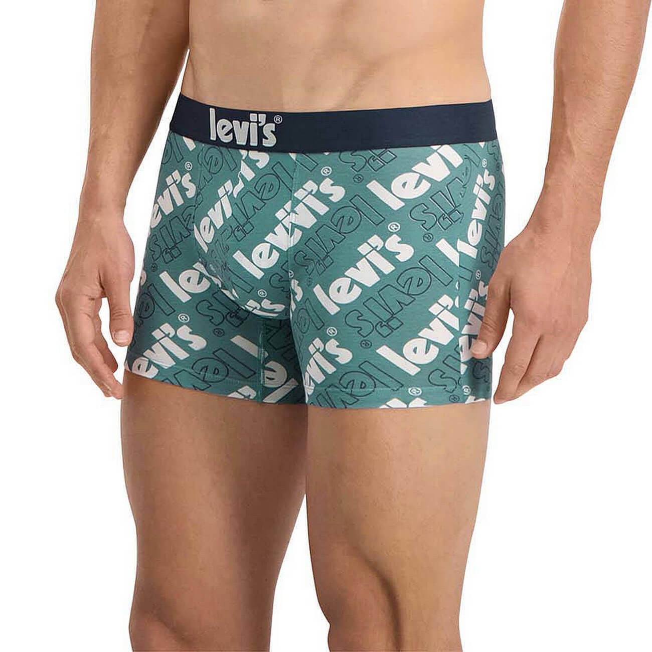 Súprava 2 kusov boxeriek Levi's® Poster Logo Aop Boxer Brief 2P tmavomodré/zelené